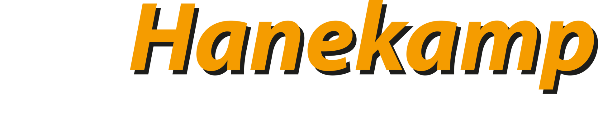 Hanekamp Logo